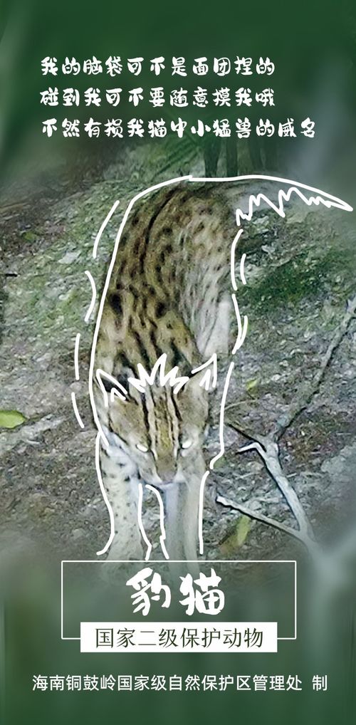 国际生物多样性日聚焦铜鼓岭 国家二级保护动植物的医药技术开发潜力