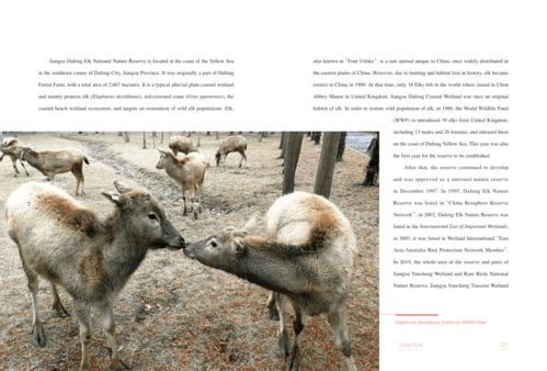 保护生物多样性丨医药领域的技术开发 中观自然启示与双语深读