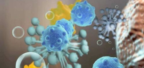 氧气的双重性 从生命之源到衰老之因