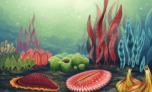 古氧浓度与单细胞生物体型的关系及其在现代医药技术中的启示