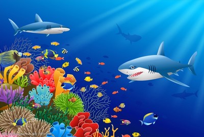 探秘蓝色药库 海洋生物在医药领域的技术开发与应用前景