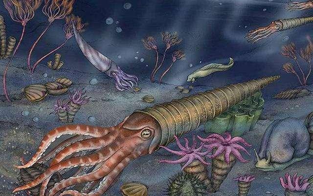 泥盆纪化石宝库重现贵州，83种远古海洋生物揭示生命演化与医药研发新曙光