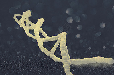 生物链的脆弱与韧性 生态系统中的无形纽带